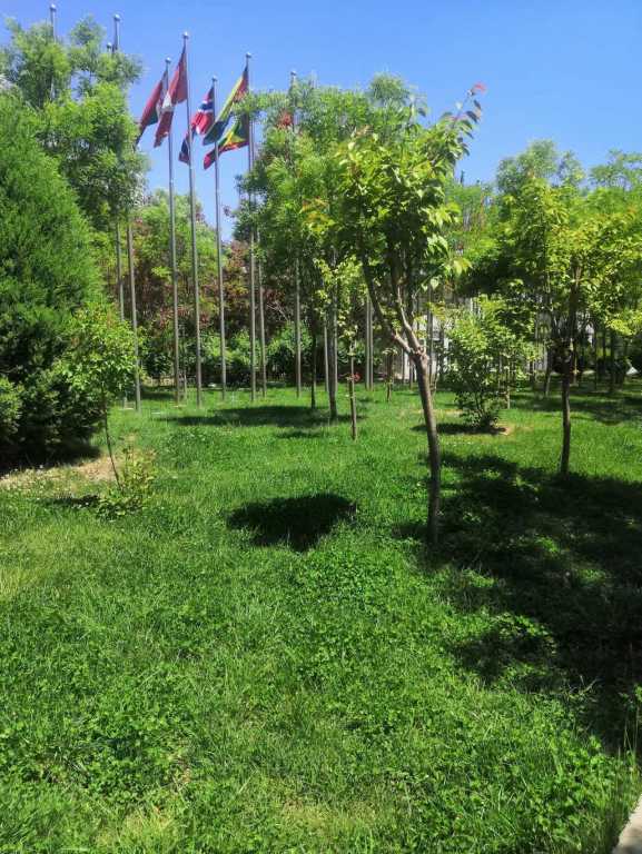 wechat_upload16519101486276260457af3